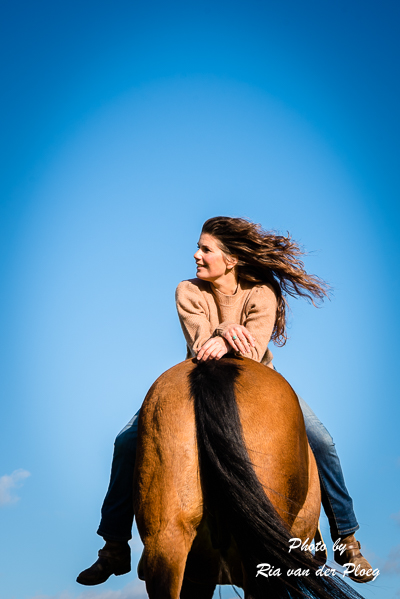 fotograaf Eindhoven paardenfotograaf